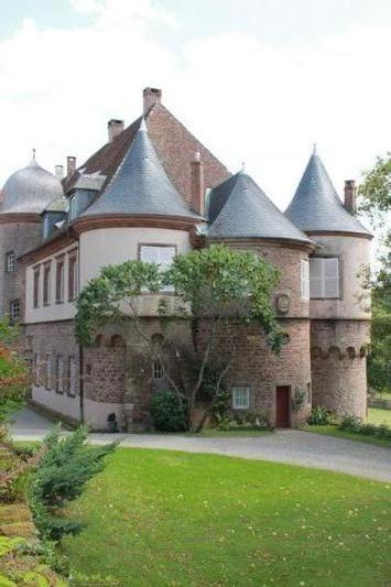 Gîte du cerf Birkenwald Exterior foto